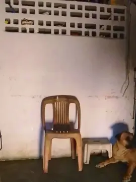 Cam4 Nude Webcam of MONSTER777DADDY