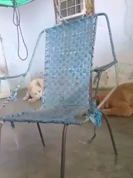 Cam4 Adult Video Chat of MONSTER777DADDY