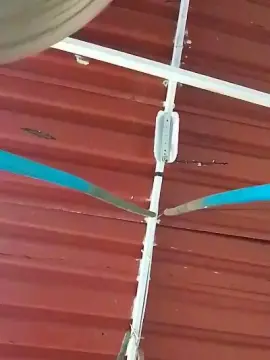 Cam4 Sex Cam of MONSTER777DADDY