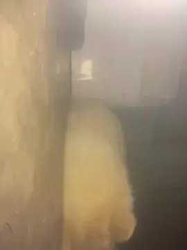 Cam4 Best Webcam of MONSTER777DADDY