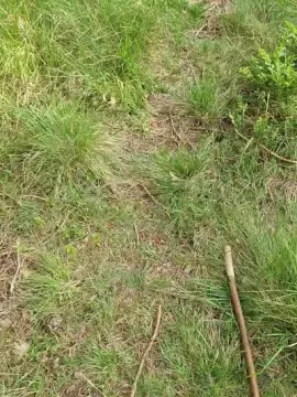 Cam4 Best live sex cam show of DePamplona2