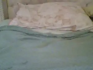 Cam4 Nude Webcam of estet11