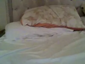 Cam4 Free Porn Cam of estet11