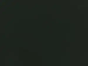 Cam4 Adult Video Chat of guerrero_xxx