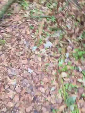 Cam4 Free Live Porn of imfreienzeigen