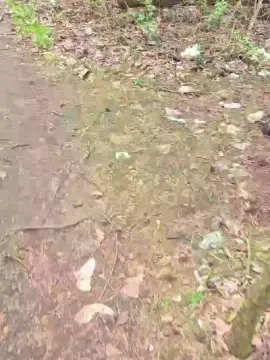 Cam4 Live Sex of imfreienzeigen