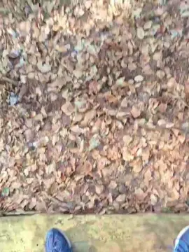 Cam4 Best Webcam of imfreienzeigen