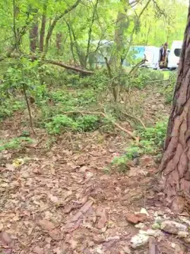 Cam4 Free Porn Cam of imfreienzeigen