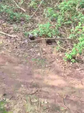 Cam4 Free Porn Cam of imfreienzeigen