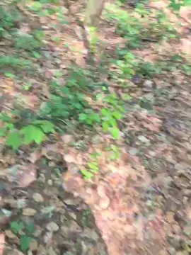 Cam4 Free Porn Cam of imfreienzeigen