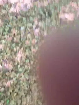 Cam4 Adult Webcams of imfreienzeigen