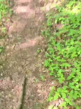 Cam4 Watch Live Sex Cams of imfreienzeigen