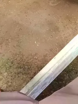 Cam4 Live Sex of Paupratodaobra5