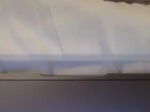 Cam4 Best Webcam of pigpants69