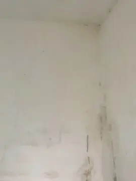 Cam4 Private Sex Chat of Amigasbaby1