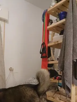 Cam4 Adult Webcam of leather_xxxx