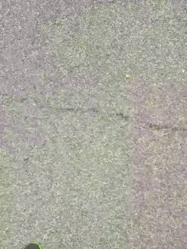 Cam4 Live Sex Cam of ALEXRED86