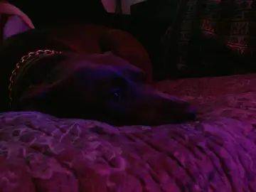 Cam4 Sex Chat of Aylorjax