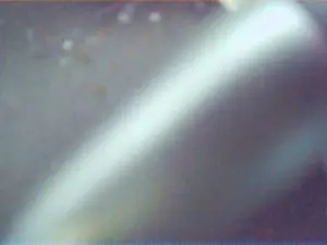 Cam4 Free Live Porn of lapelos