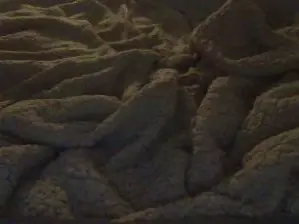 Cam4 Sex Cam of Pollonerox