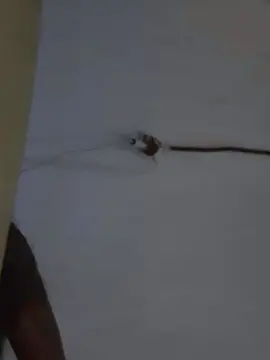 Cam4 Sex Cam of Moreno_alejo98