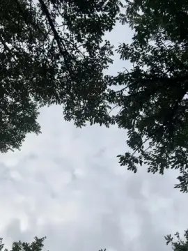 Cam4 Best Webcam of POTRO_latino2