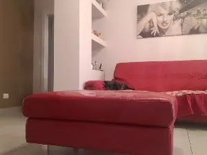 Cam4 Nude Webcam of linus99976