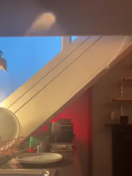 Cam4 Private Sex Chat of bigd795