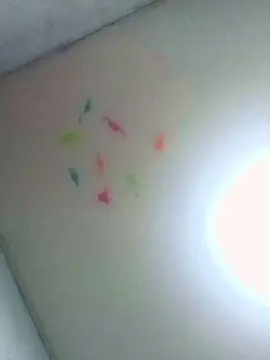 Cam4 Live Porn of CachonditoVIV