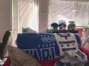 Cam4 Free Live Porn of Dmaveric