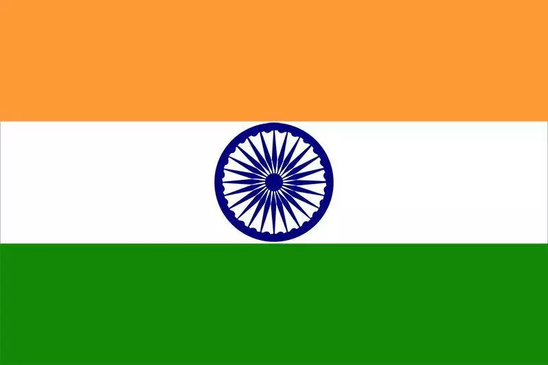 indianguy24