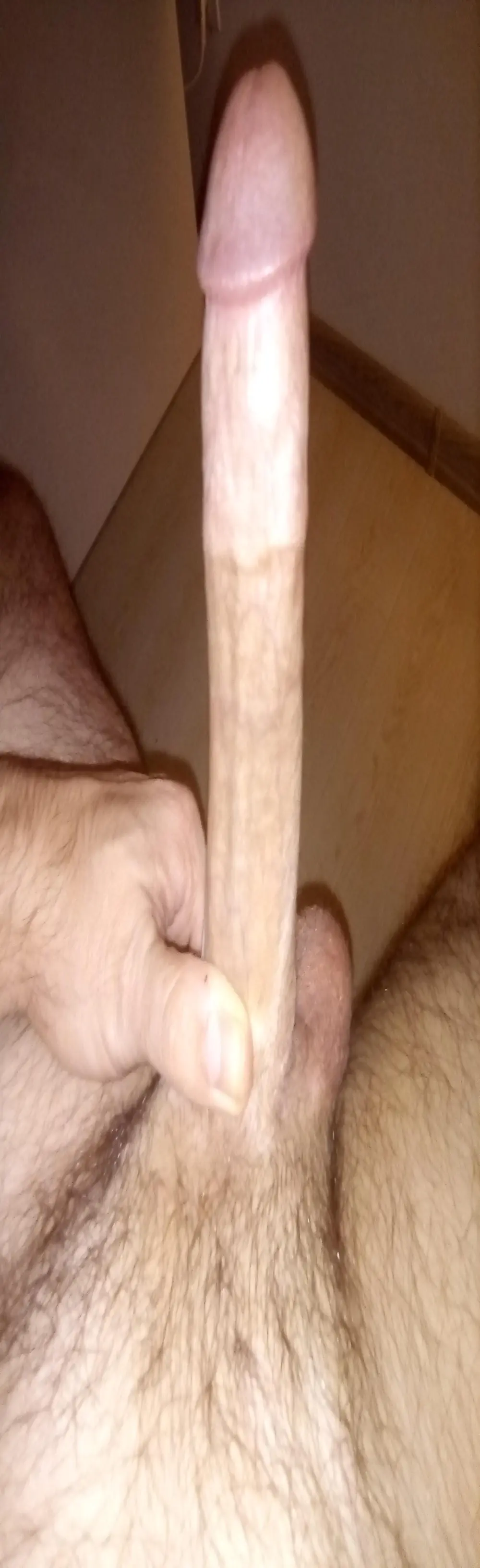 clau841