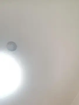 Cam4 Live Sex of veronica237