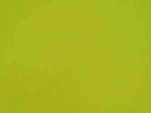 Cam4 Free Live Porn of 69nohaymas