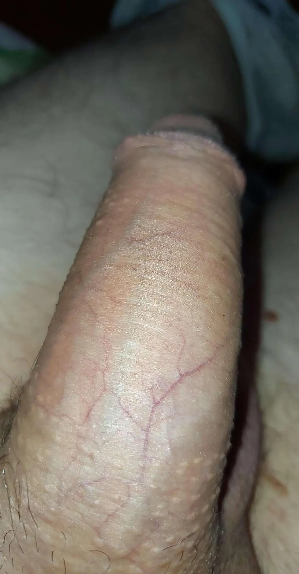 BigDick_1984