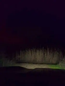 Cam4 Sex Chat of Gerontofilia