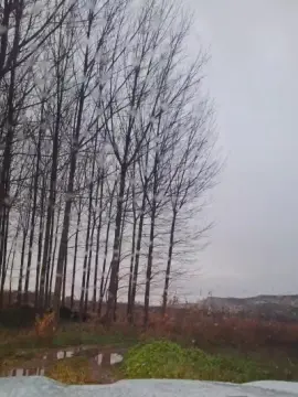 Cam4 Sex Cam of Gerontofilia