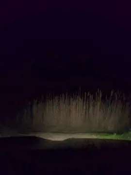 Cam4 Sex Chat of Gerontofilia