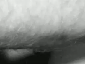 Cam4 Nude Webcam of tombc189