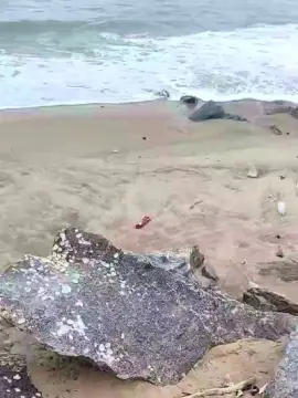 Cam4 Live Porn of kceteduronacam2