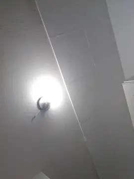 Cam4 Nude Webcam of Chia562002