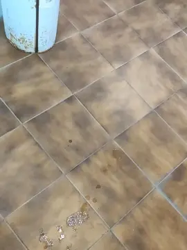 Cam4 Nude Webcam of Isla19