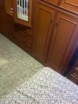 Cam4 Private Sex Chat of angela397