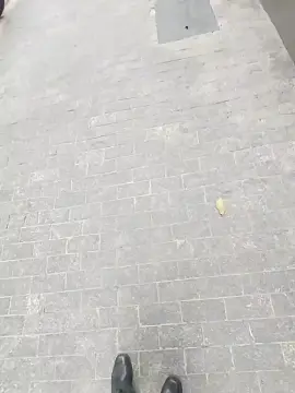 Cam4 Nude Webcam of souzakw2