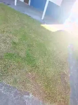 Cam4 Live Sex Cam of souzakw2