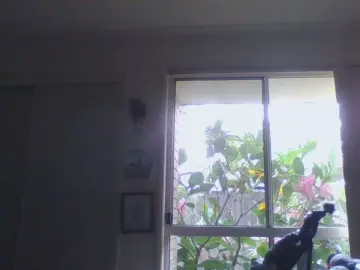 Cam4 Sex Cam of jackoff2131