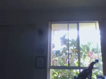 Cam4 Live Sex of jackoff2131