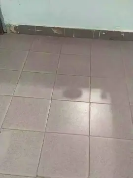 Cam4 Adult Video Chat of Sinfulboyy