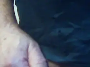 Cam4 Best Webcam of noviziocurio