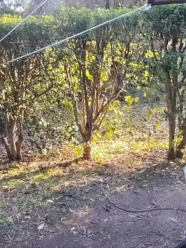 Cam4 Sex Chat of Petitebombe34